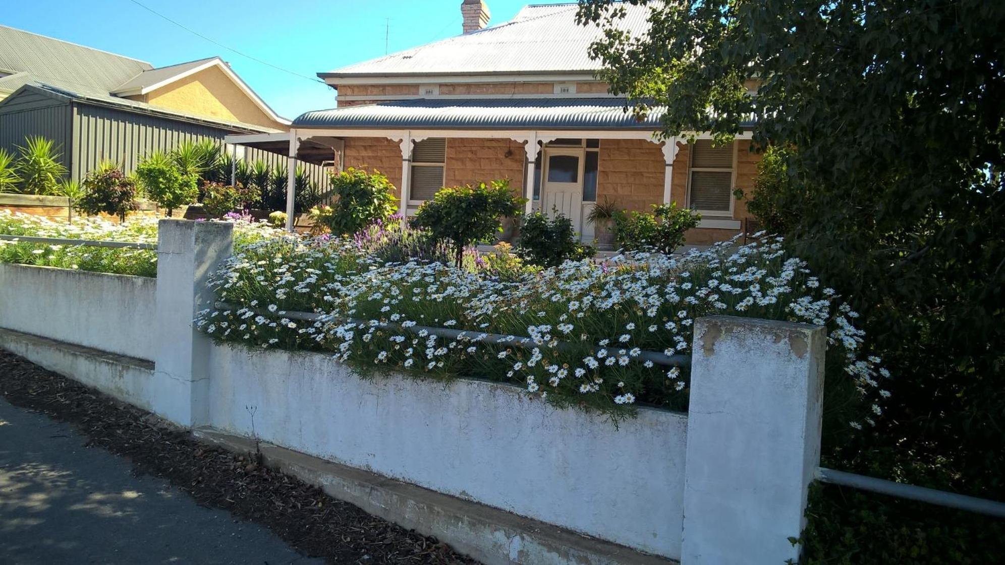 Book Keepers Cottage Waikerie Extérieur photo